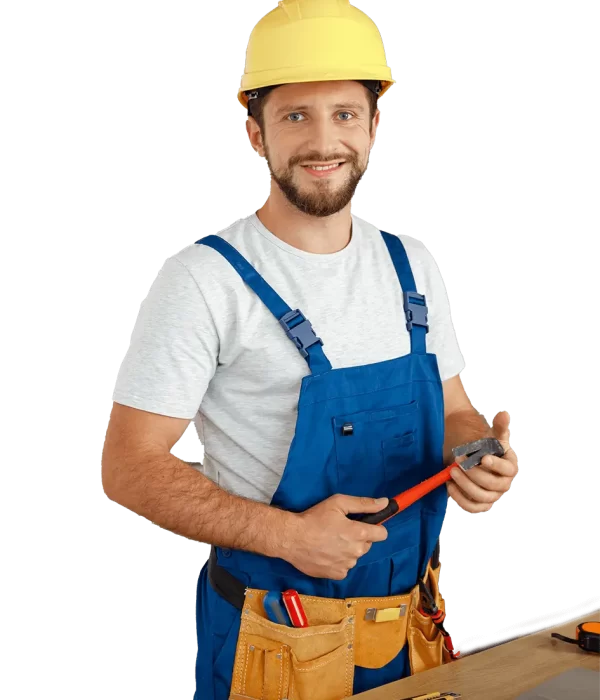 BG 29 BG 29